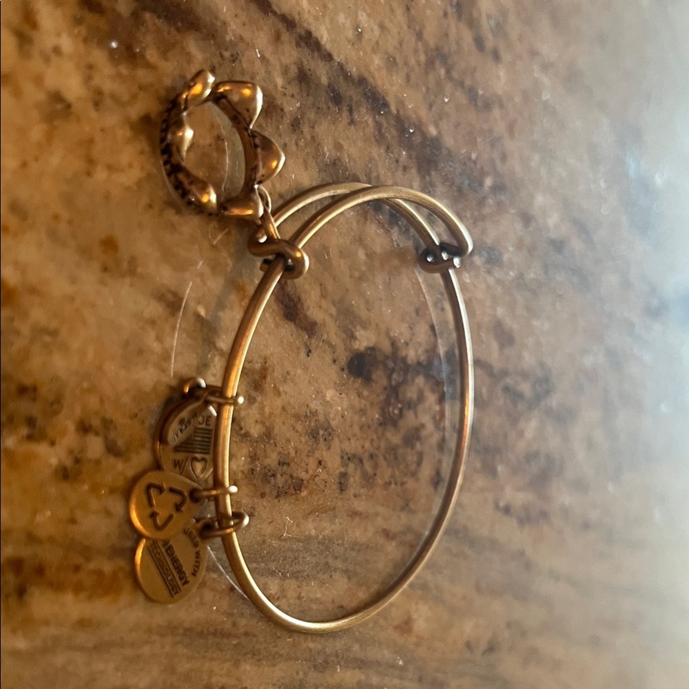 Original Alex and Ani Crown Bangle Bracelet